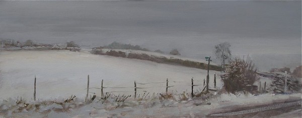 n_Snow_22December2009.jpg