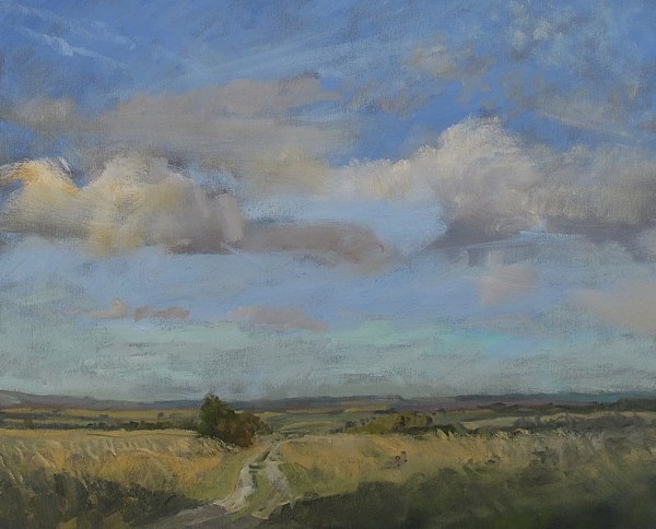 n_The_Ridgeway-Summer_Evening.jpg